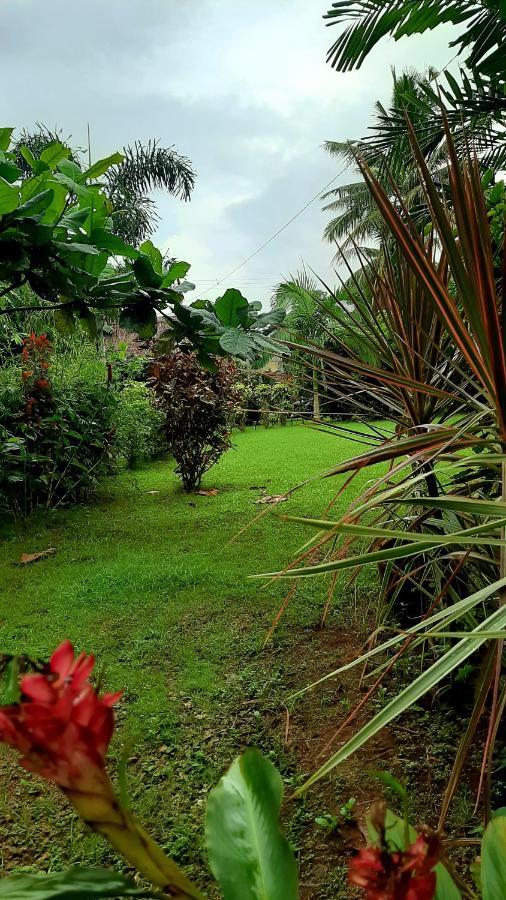 Travis Post Homestay Siquijor Exteriör bild