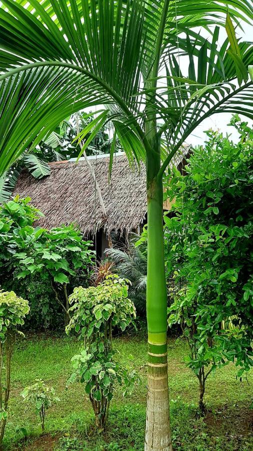 Travis Post Homestay Siquijor Exteriör bild